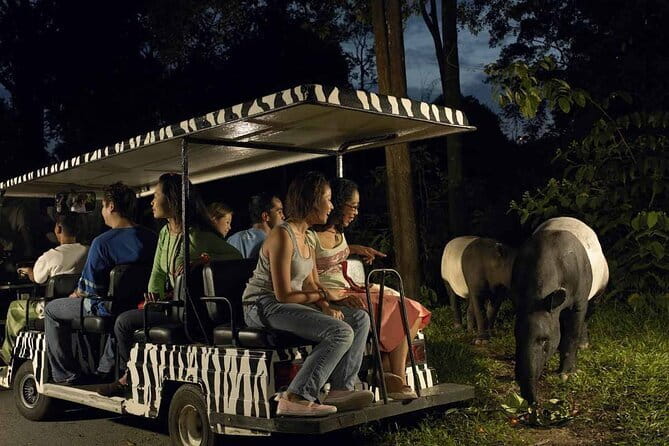 Singapore: Night Safari Entry Ticket - Reaching Mandai from central Singapore