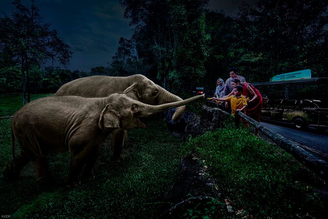 Singapore Night Safari Ticket Experience - Key points to know before you go