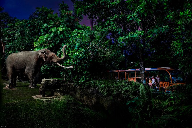 Singapore Night Safari Ticket Experience - Singapore after dark, when the zoo changes character