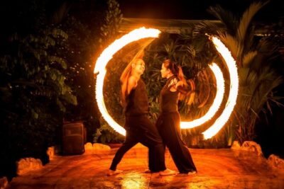 Singapore Night Safari Ticket Experience
