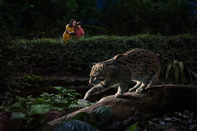 Singapore Night Safari Ticket Experience - Creatures of the Night Show