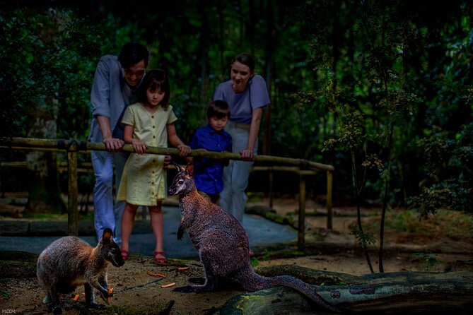 Singapore Night Safari Ticket Experience - Timing, transport, and the fixed-entry rule