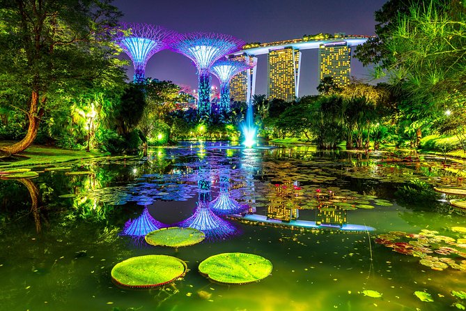Singapore Night Tour with a Local: Private & 100% Personalized - What the private format is worth