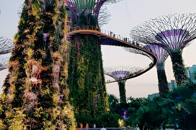 Singapore OCBC Skyway Flower dome Cloud Forest Garden by the Bay - Key points to know before you go