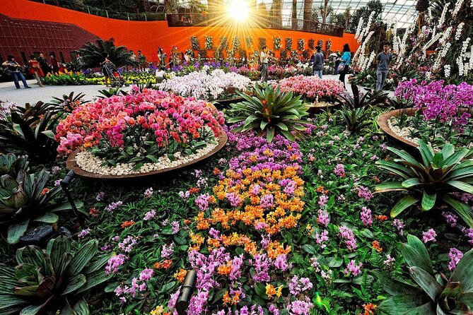 Singapore OCBC Skyway Flower dome Cloud Forest Garden by the Bay - OCBC Skyway: 128 meters between the Supertrees