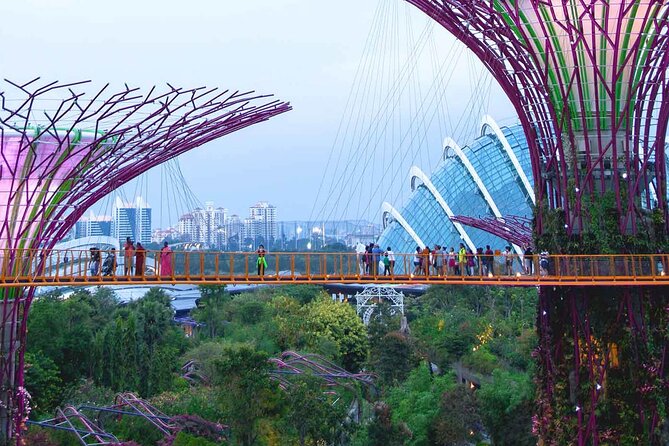 Singapore OCBC Skyway Flower dome Cloud Forest Garden by the Bay - Cloud Forest: waterfall, mist, and Jurassic surprises