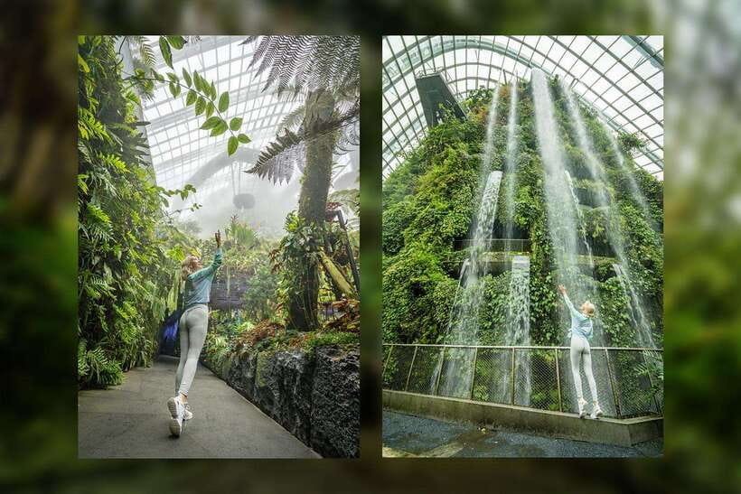 Singapore Photography: Marina Bay Sands & Gardens by the Bay - Price, timing, and practical value