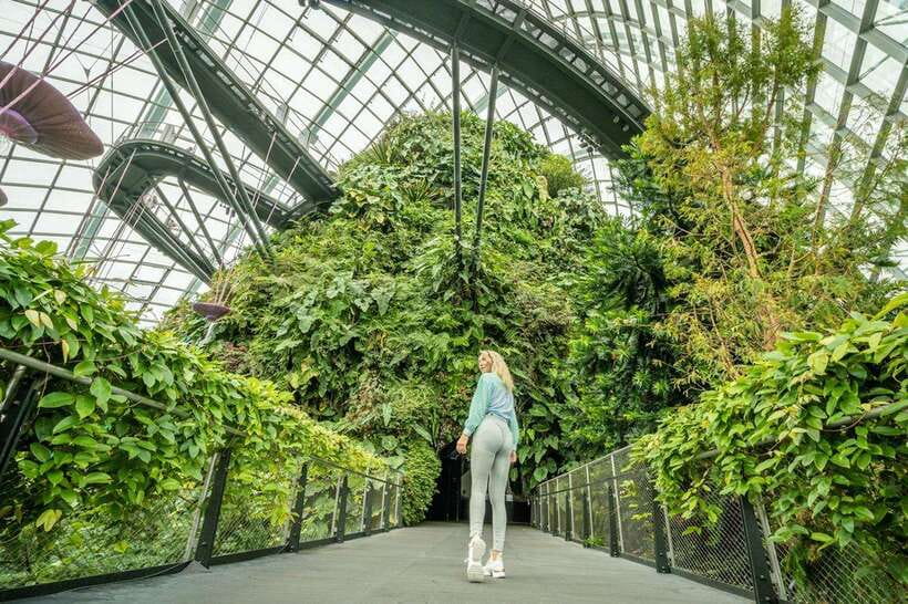 Singapore Photography: Marina Bay Sands & Gardens by the Bay - The Supertrees and the optional Cloud Forest
