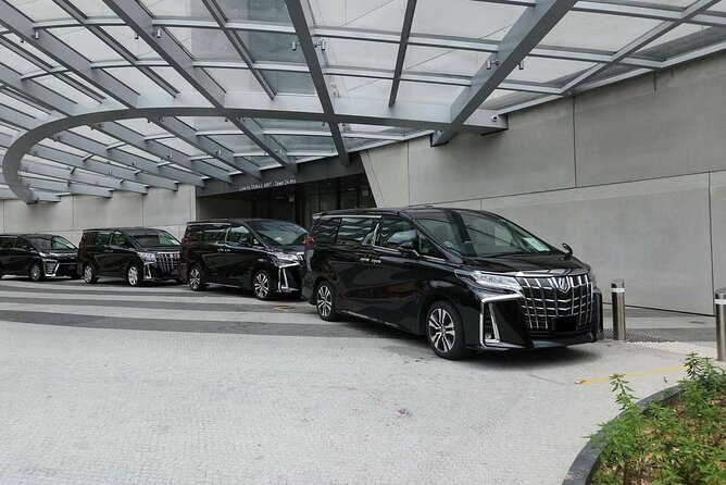 Singapore: Private Airport/Seaport Meet&Greet → Downtown/Sentosa - Reaching Sentosa with less luggage hassle