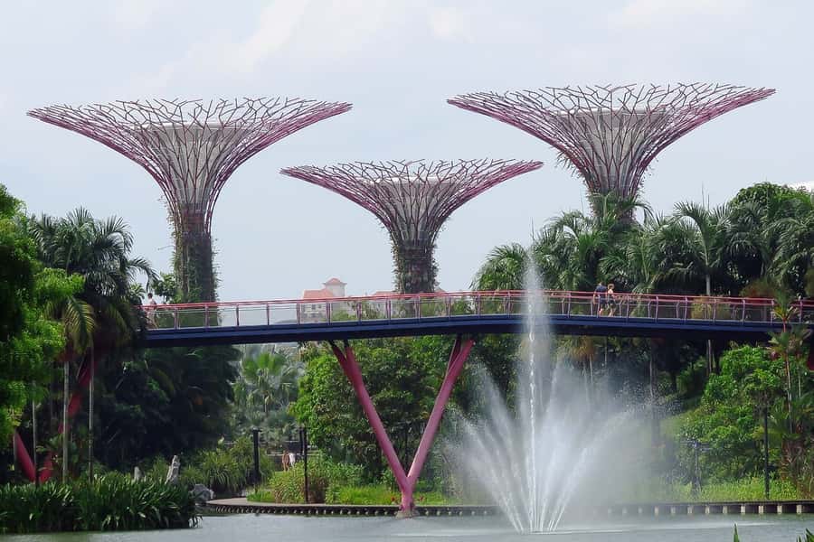 Singapore: Private Customizable Singapore Tour - Cruise port timing and airport plans