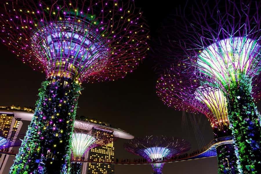 Singapore: Private Customizable Singapore Tour - Should you book it?