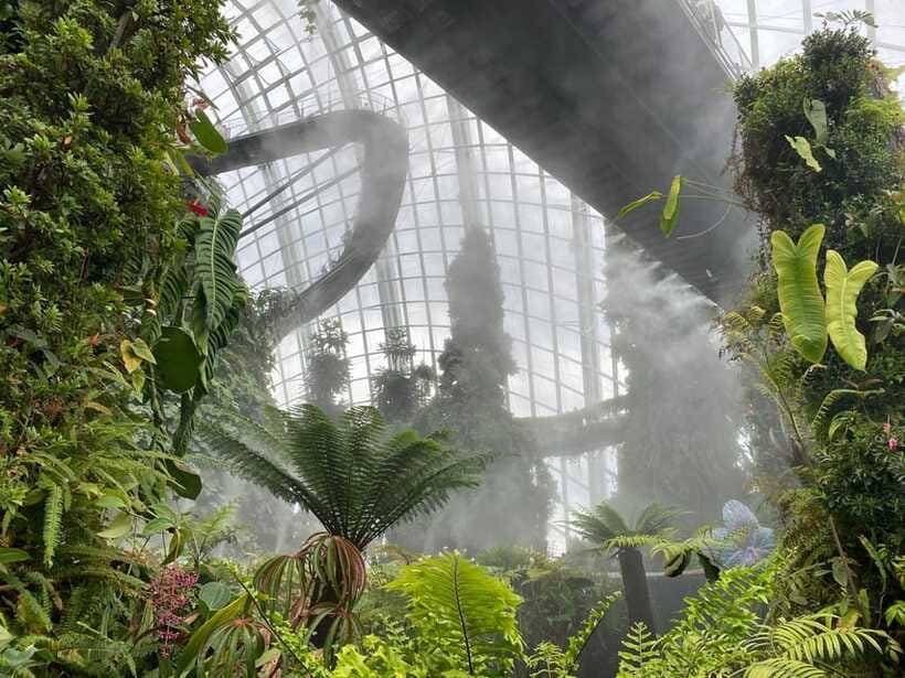 Singapore: Private Customized Tour with transportation - What to bring and how to prepare