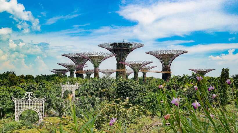 Singapore: Private Flexible Tour with a Licensed Local Guide - Chinatown, Little India, and the city’s many communities