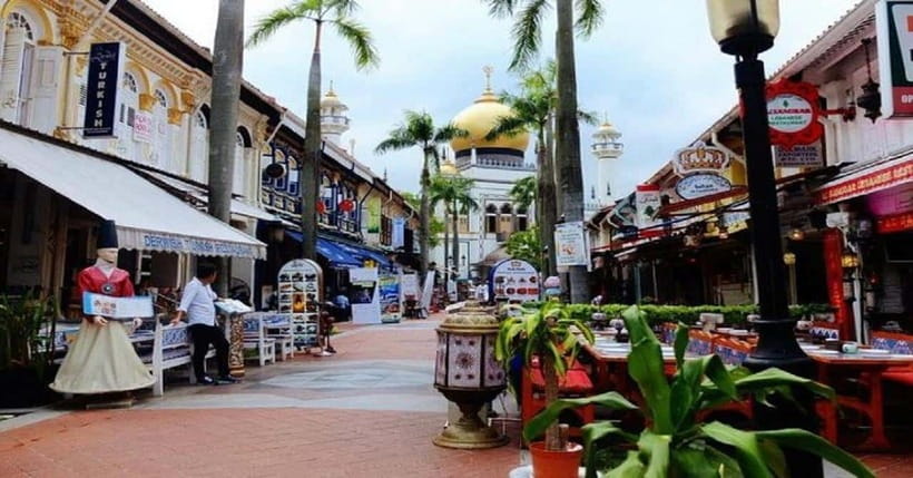 Singapore: Private Full-Day Island Tour - Key points to know before booking