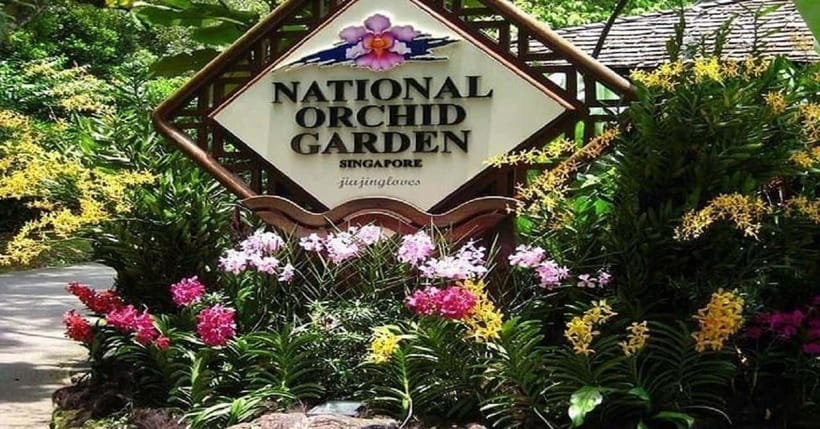 Singapore: Private Full-Day Island Tour - A broad introduction to Singapore in seven hours