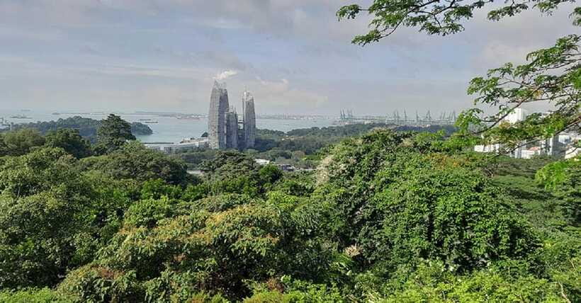 Singapore: Private Full-Day Island Tour - Seeing the skyline from a 20-minute river cruise