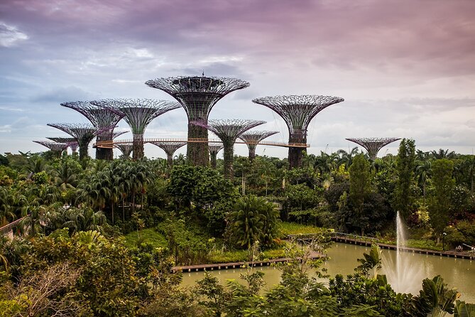 Singapore Private Full-Day Sightseeing Tour - Gardens by the Bay without paying for the domes