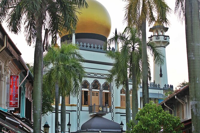 Singapore Private Full-Day Sightseeing Tour - Chinatown’s narrow streets and Chinese Singapore