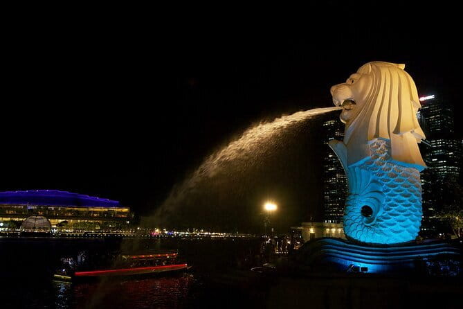 Singapore Private Night Cycling with Dinner - Gardens by the Bay under the Supertrees