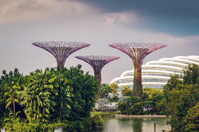 Singapore Private Professional Photoshoot at Gardens by the Bay - What a 30-minute private session feels like