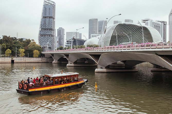 Singapore PRIVATE TOUR: Highlights & Hidden Gems by CAR or Foot - Raffles Hotel and the polished side of Singapore
