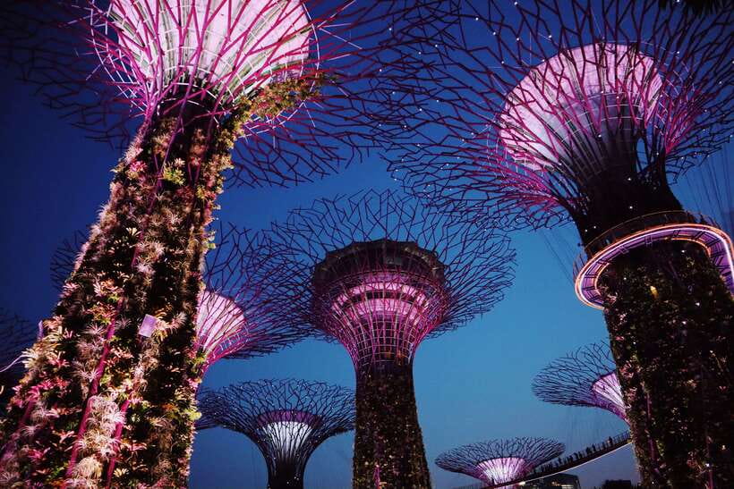 Singapore: Private Tour with a Driver - Singapore Botanic Gardens for a slower change of pace