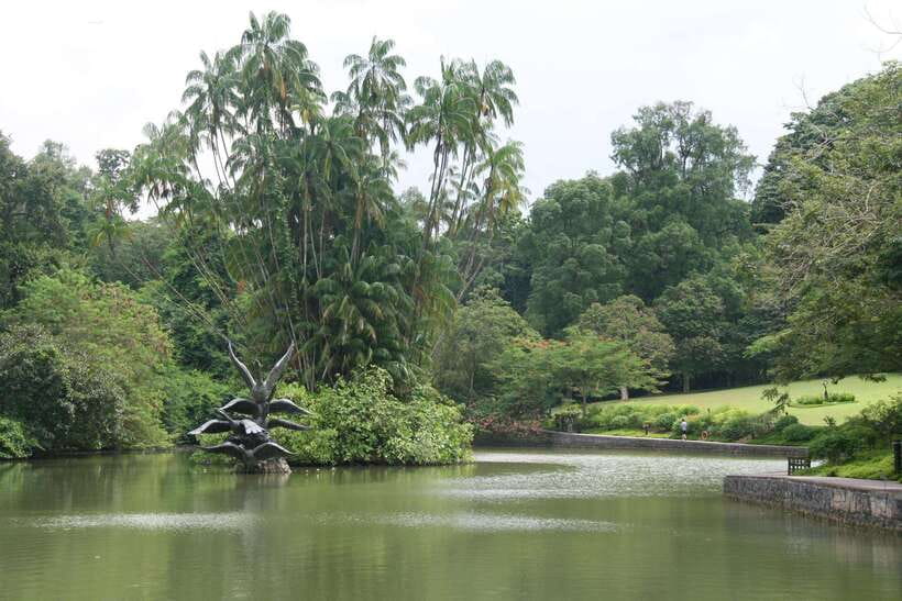 Singapore: Private Tour with a Driver - Southern Ridges and MacRitchie Reservoir: Singapore beyond the towers