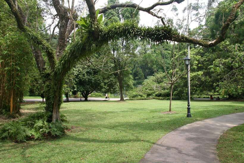 Singapore: Private Tour with a Driver - What $161 per person buys you