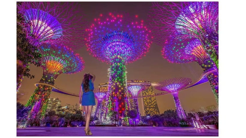 Singapore River Cruise, Spectra & Garden Rhapsody Light Show - Why this four-hour route works