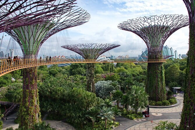 Singapore River Cruise Tour with E-Tickets - Daylight or night cruise?