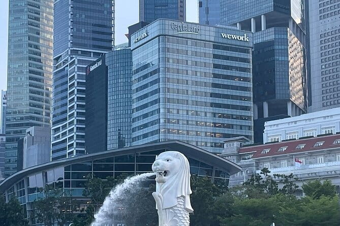 Singapore River Cruise Tour with E-Tickets - The e-ticket problem is the real risk