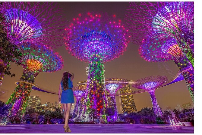 Singapore River Cruise with Spectra & Garden Rhapsody Light Show - Key points at a glance