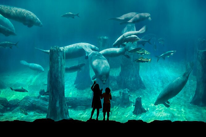 Singapore: River Wonders Entry Ticket - Amazon wildlife and walk-through paths