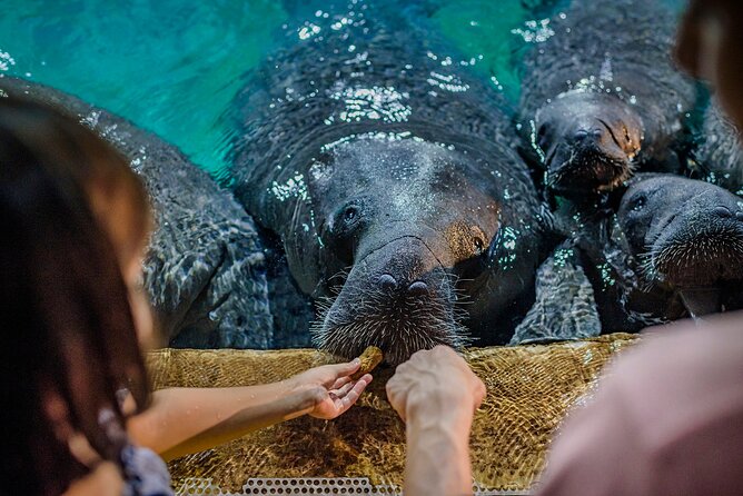 Singapore: River Wonders Entry Ticket - What the Amazon River Quest adds