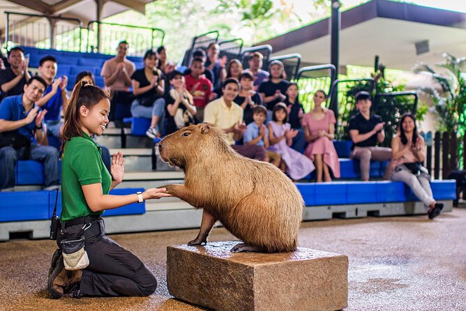 Singapore: River Wonders Entry Ticket - Is the $35 ticket good value?