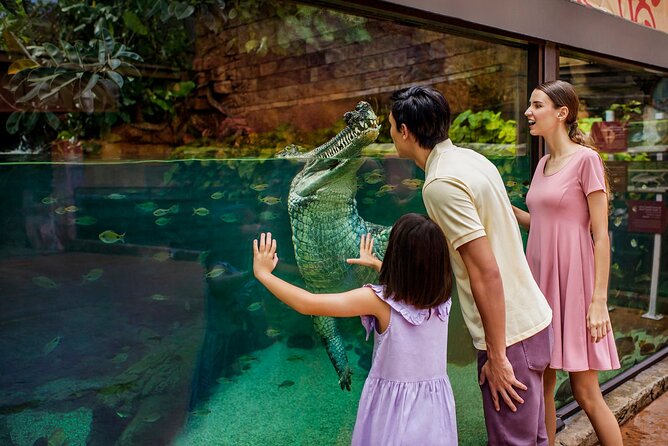 Singapore: River Wonders Entry Ticket - Practical planning for families and access needs