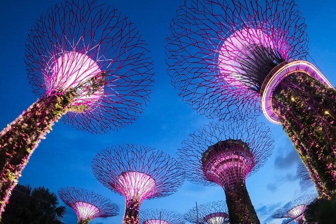Singapore's Marina Bay Wonders and Heritage Tales, Chinatown - Finishing under the Supertrees at Gardens by the Bay