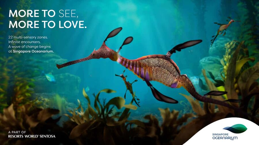Singapore: Singapore Oceanarium Entrance Ticket - Mangroves made easy to understand