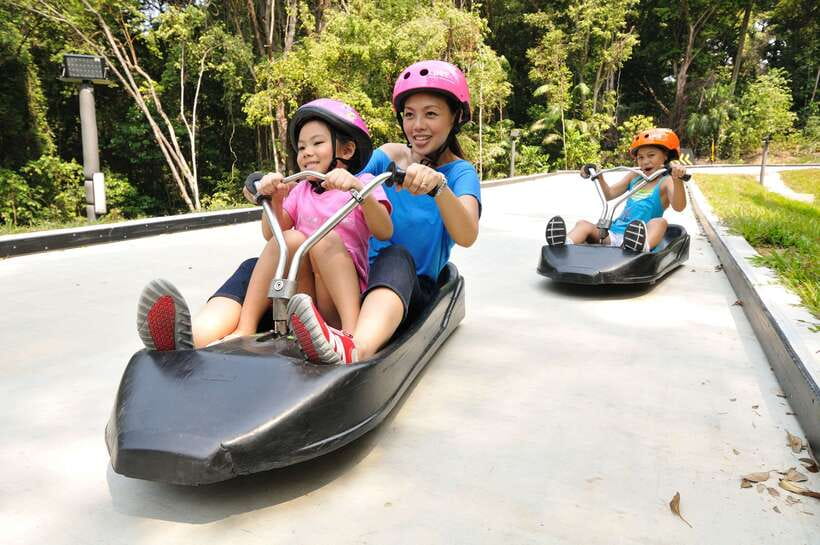 Singapore: Skyline Luge Sentosa Entry Ticket - The Skyride is more than a way uphill