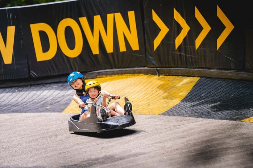 Singapore: Skyline Luge Sentosa Entry Ticket - Four tracks, four different downhill moods