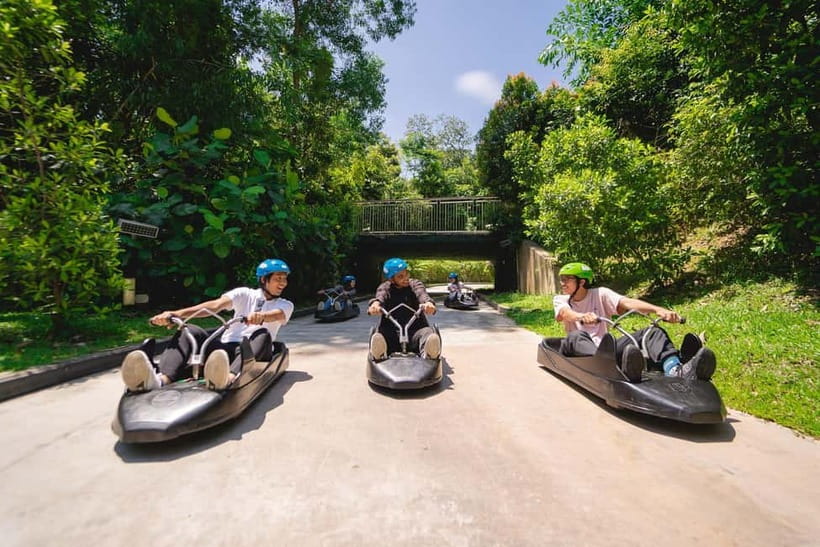 Singapore: Skyline Luge Sentosa Entry Ticket - What the ride feels like for families and adults