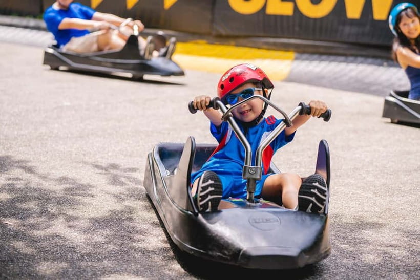 Singapore: Skyline Luge Sentosa Entry Ticket - Safety, comfort, and who should skip it