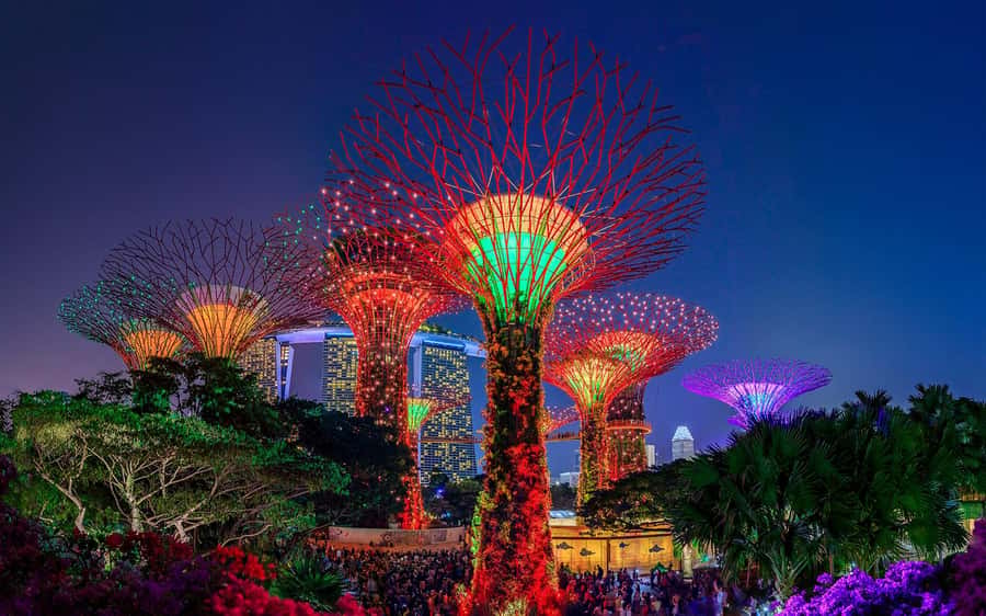 Singapore Starry Night: Cruise, Garden Rhapsody & Spectra - Key points to know before booking