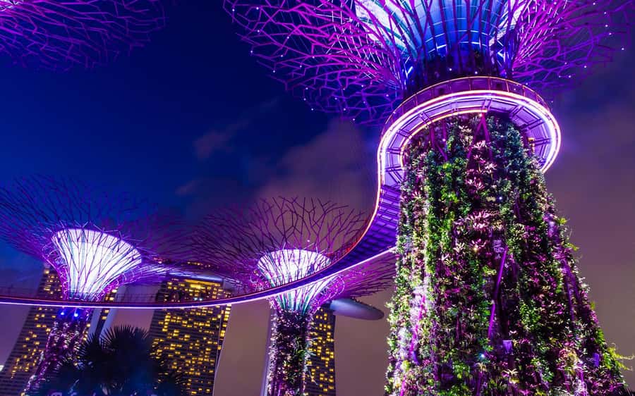 Singapore Starry Night: Cruise, Garden Rhapsody & Spectra - Spectra at Marina Bay closes the night