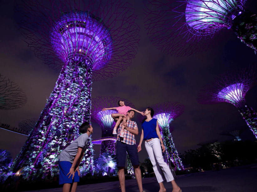 Singapore Twilights with River Cruise & Light Shows - Gardens by the Bay and Garden Rhapsody