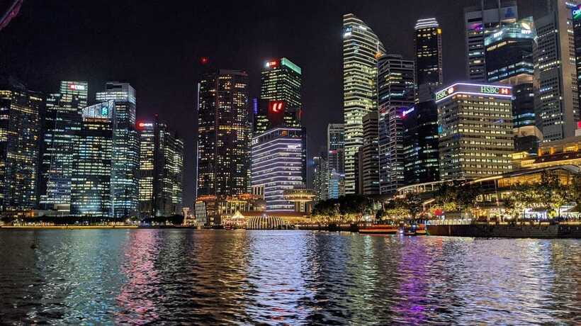 Singapore Twilights with River Cruise & Light Shows - What the guides add to the experience