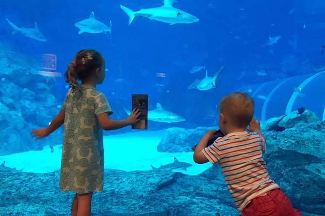 Singapore Universal Studio & S.E.A Aquarium-COMBO One-Day Pass(Shared transfer) - The 8:30 am pickup needs careful planning