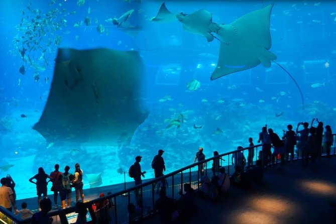 Singapore Universal Studio & S.E.A Aquarium-COMBO One-Day Pass(Shared transfer) - Universal Studios Singapore: movie worlds from Hollywood to Madagascar