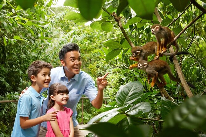 Singapore Zoo - Key points to know before you go