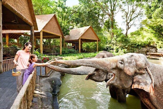 Singapore Zoo - A zoo built for wandering, not just quick viewing